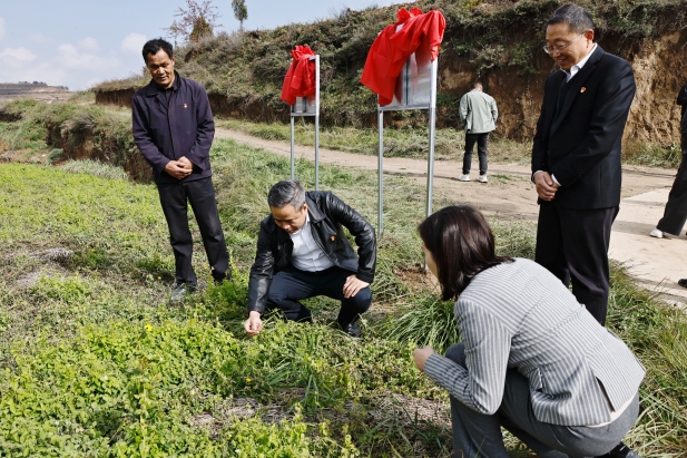 1761814819050006122.jpg 实地调研 (4).jpg