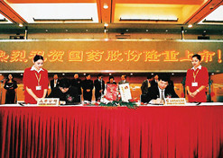 2002年11月，国药股份在上海证券交易所上市